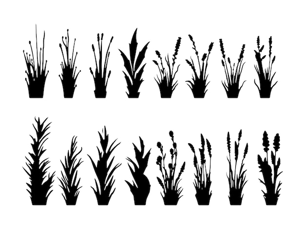 Vecteur silhouette d'herbe noire silhouettes de bord de herbe noire