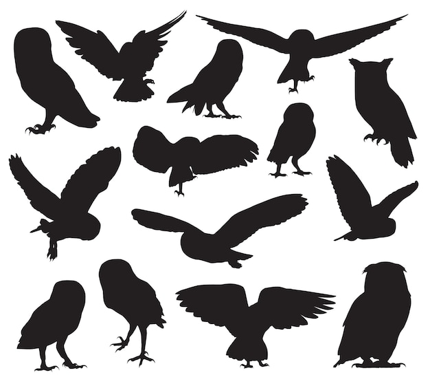 Silhouette de hibou