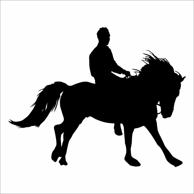 Silhouette D'un Homme à Cheval