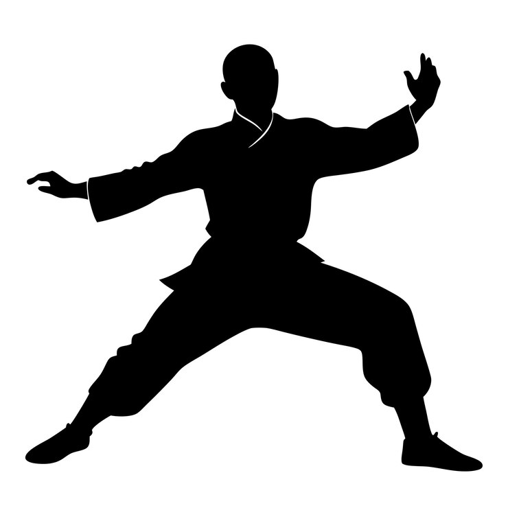 Vecteur silhouette d'un homme dans un art martial oriental posant sur un fond blanc isolé