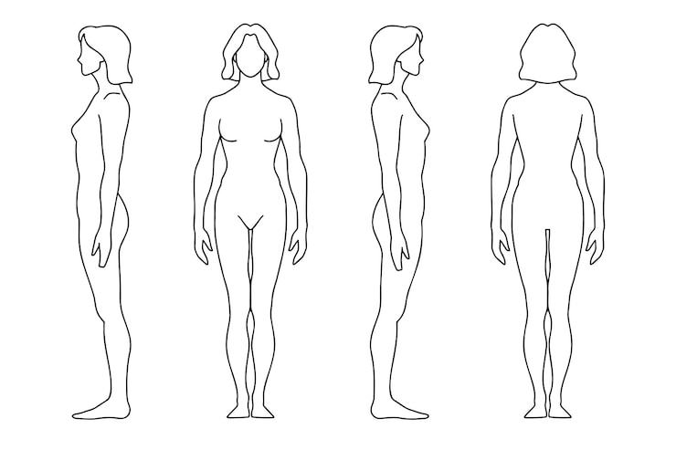 Vecteur silhouette humaine femme contour modèle ligne vectorielle figure d'une personne à l'avant à l'arrière