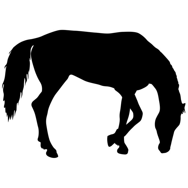 Silhouette D'illustration Vectorielle De Cheval Mustang Noir