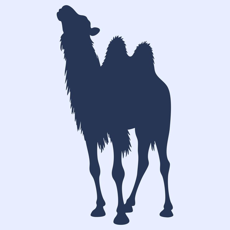 Vecteur la silhouette de l'illustration vectorielle du chameau