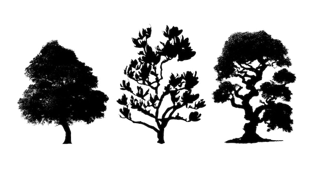 silhouette de l'image des arbres