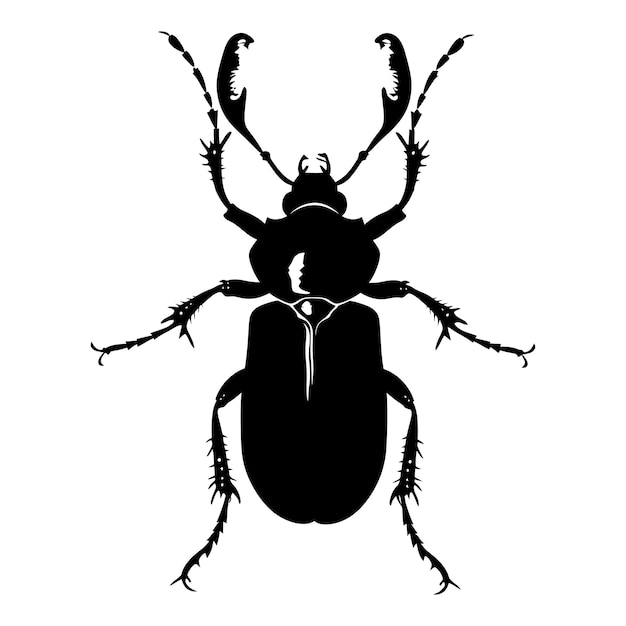 Vecteur silhouette insecte ou insecte corps entier couleur noire seulement