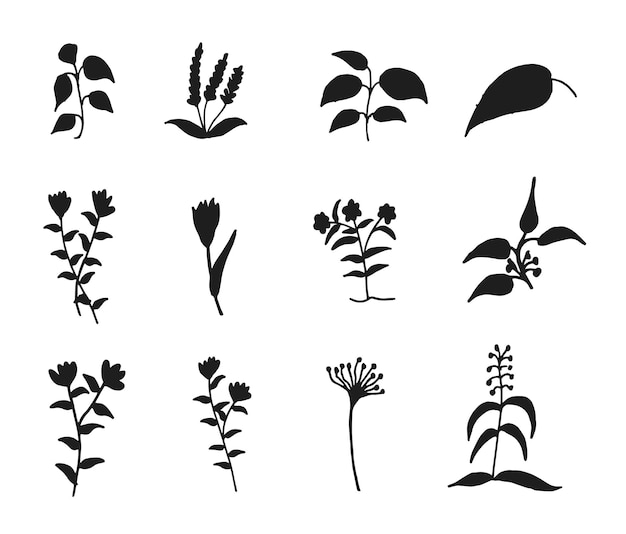 Silhouette isolée florale dessinée à la main