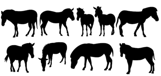 Silhouette Isolée De Vecteur D'un Jeu De Cheval Poney Zèbre