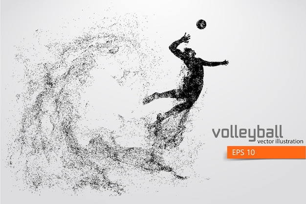 Silhouette De Joueur De Volley-ball, Homme