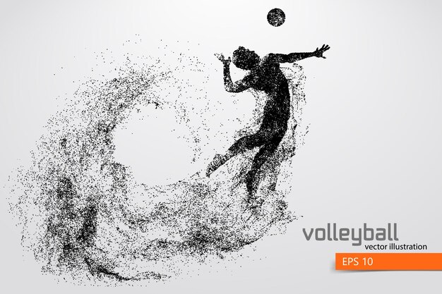 Silhouette De Joueur De Volley-ball, Homme