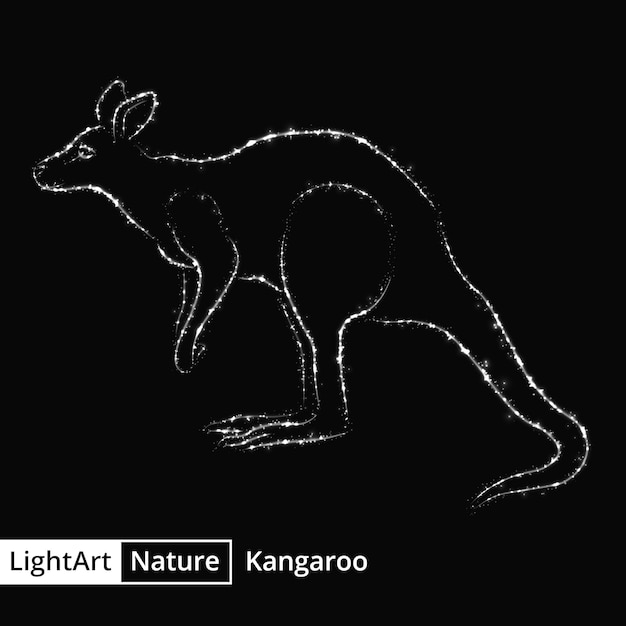 Silhouette De Kangourou De Lumières Grises Sur Fond Noir