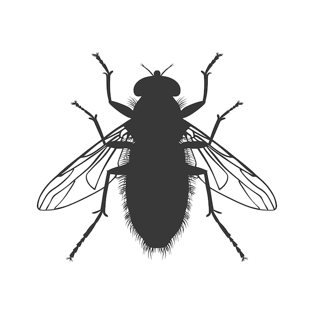 Vecteur silhouette mouche insecte animal couleur noire seulement plein
