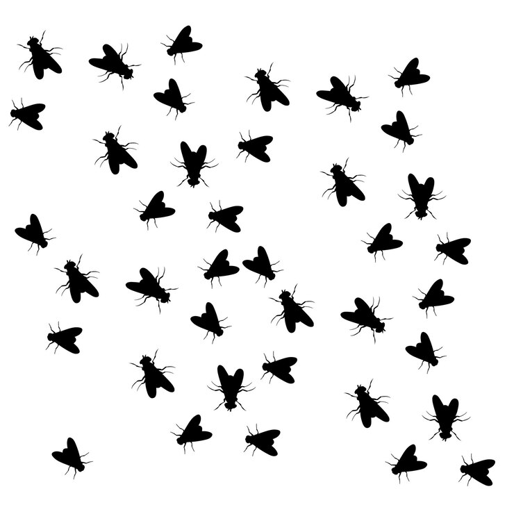 Vecteur silhouette d'une mouche rampante