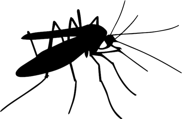 La silhouette d'un moustique vecteur 3