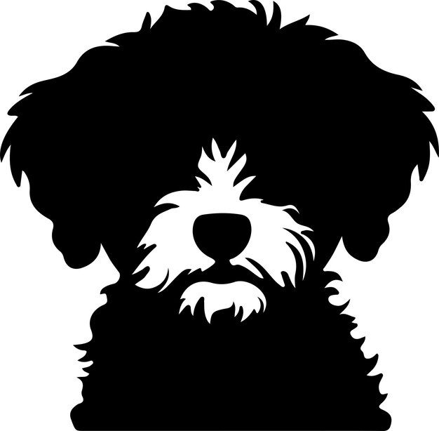 Vecteur silhouette noire bichon frise avec fond transparent