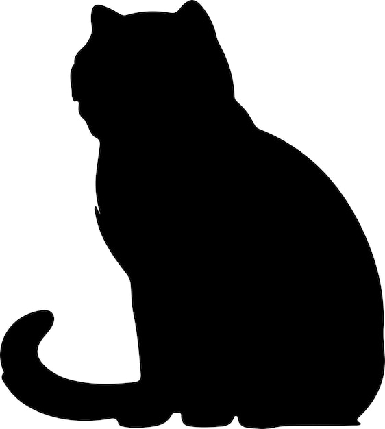 Vecteur silhouette noire de chat plié écossais avec fond transparent