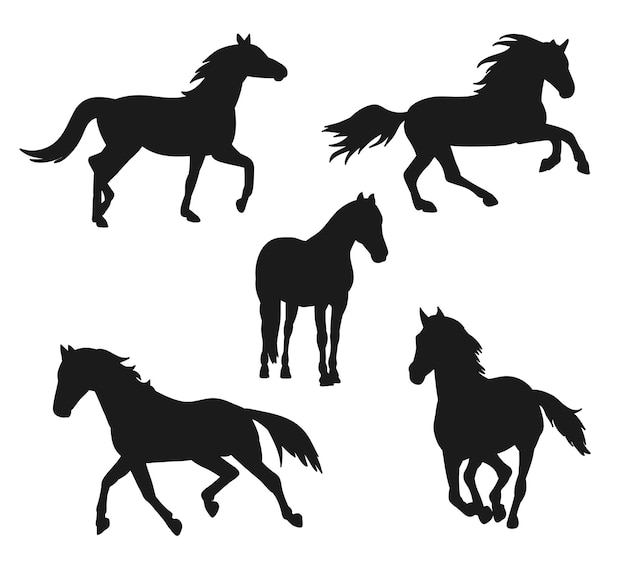 Vecteur silhouette noire de chevaux de course isolés sur fond blanc