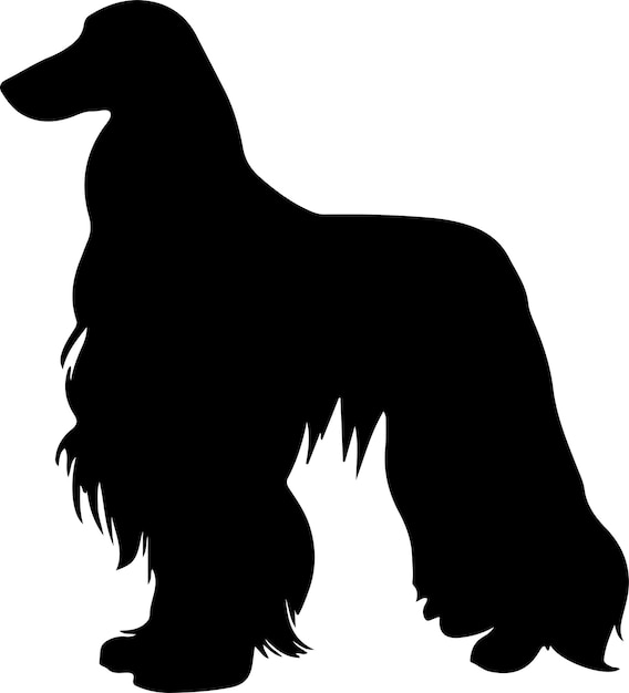 Silhouette noire de chien afghan avec un fond transparent