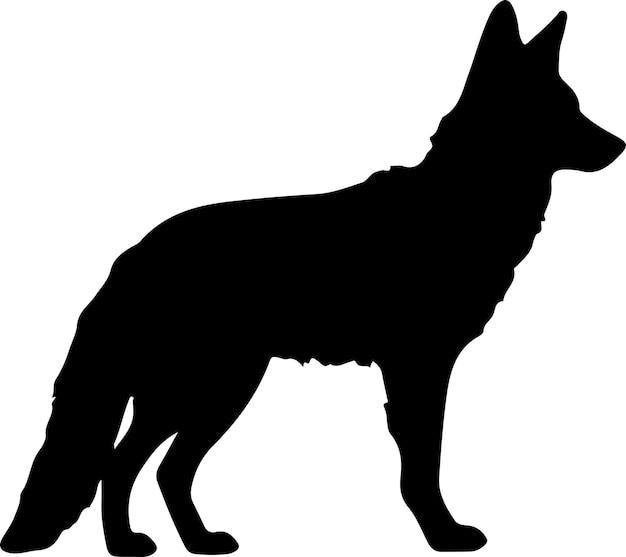 Silhouette noire de coyote avec un fond transparent