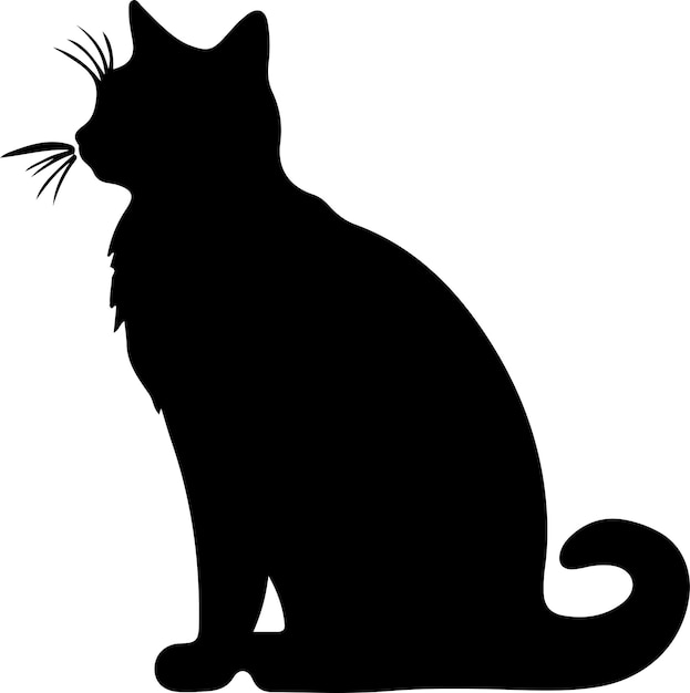 Vecteur la silhouette noire du chat khao manee avec un fond transparent