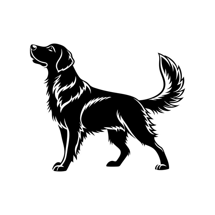 Vecteur la silhouette noire élégante d'un chien golden retriever