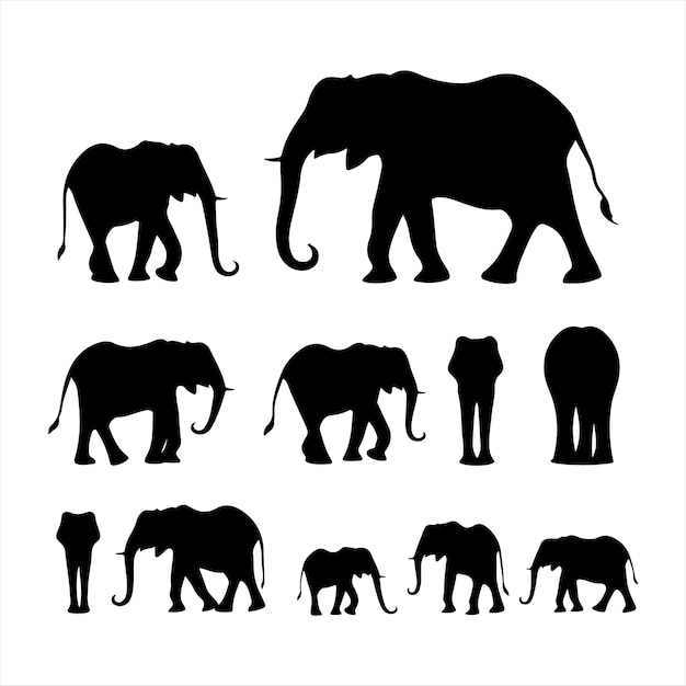 Une silhouette noire d'éléphant