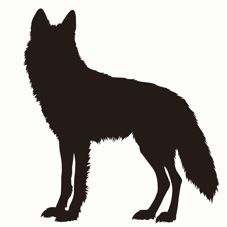 Vecteur la silhouette noire d'un loup arabe