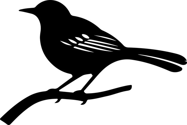 Vecteur silhouette noire d'oiseau moqueur avec un fond transparent