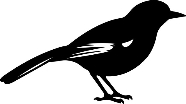 Vecteur silhouette noire d'oiseau moqueur avec un fond transparent