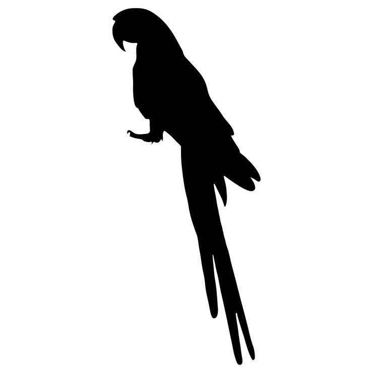Silhouette noire d'un perroquet sur fond blanc