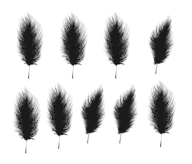 Vecteur silhouette noire de plumes