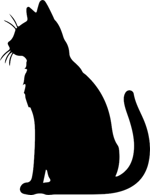 La Silhouette Noire De Samwet Cat Avec Un Fond Transparent