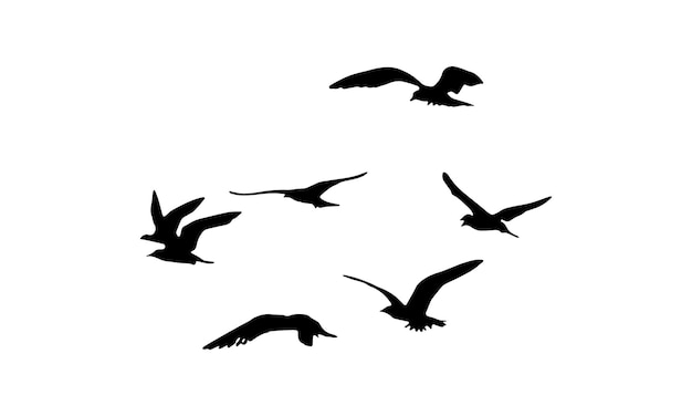 Silhouette D'oiseaux Volants