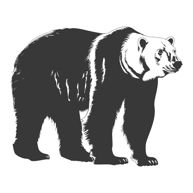 Vecteur silhouette ours grizzli couleur noire animale seulement corps entier