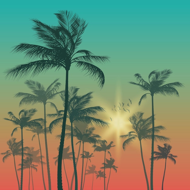 Silhouette de palmier et ciel coucher de soleil