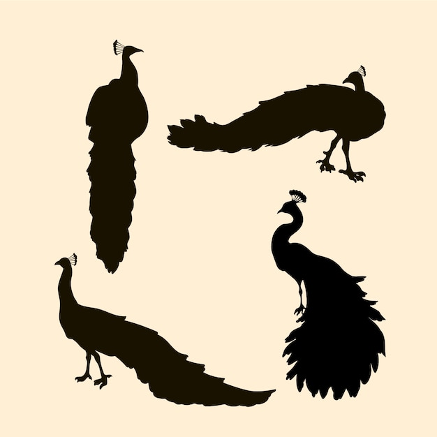 Silhouette de paon dessiné à la main