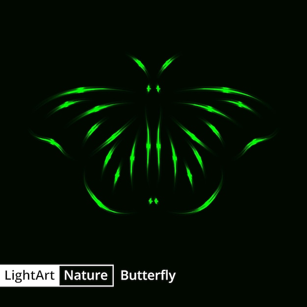 Silhouette De Papillon De Lumières Sur Fond Noir