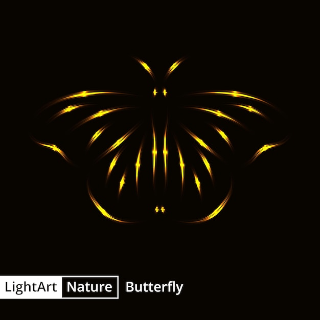Silhouette De Papillon De Lumières Sur Fond Noir