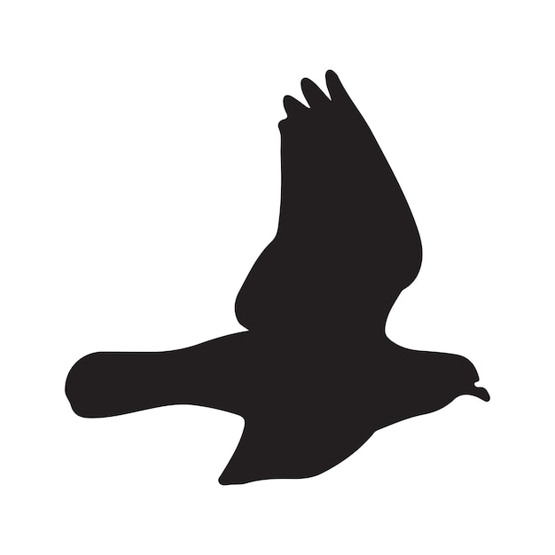 Silhouette de pigeon Illustration vectorielle à fond blanc