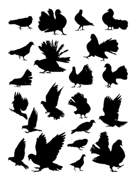 Vecteur silhouette de pigeon