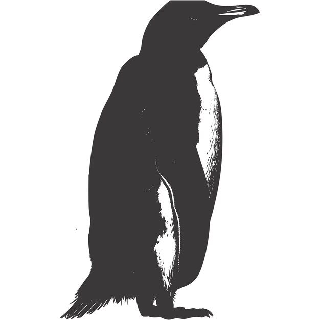 Vecteur silhouette pingouin couleur noire seul corps entier