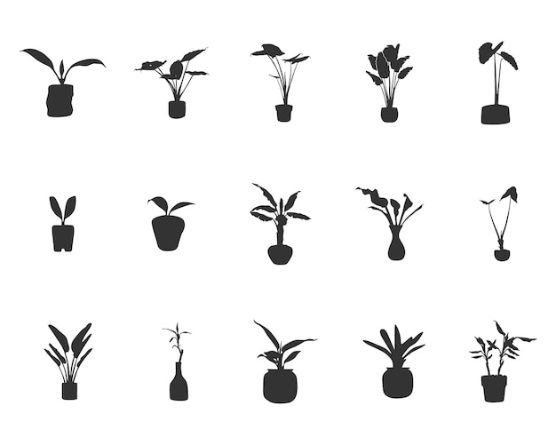Silhouette De Plante En Pot Silhouette D'arbre En Pot Silhouette De Plante D'intérieur