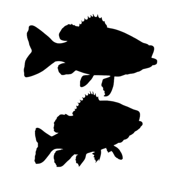 Vecteur silhouette de poisson sur un blanc