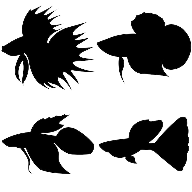 Silhouette De Poisson Combattant Siamois