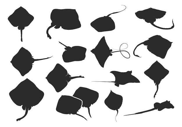 Silhouette De Poisson Skate Silhouette De Poisson Rai Vector De Poisson Rai Clipart Silhouette De Poisson