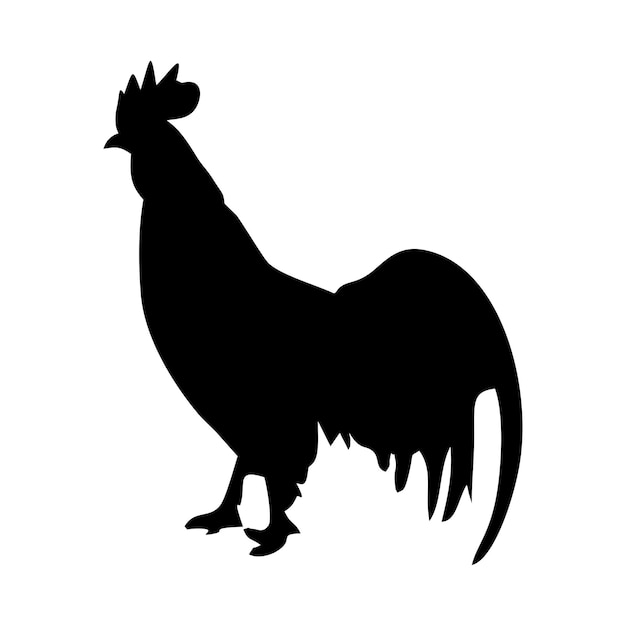 Vecteur silhouette de poulet mâle et femelle noire