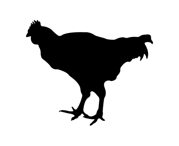 Silhouette De Poulet Vecteur Isolé Sur Fond Blanc