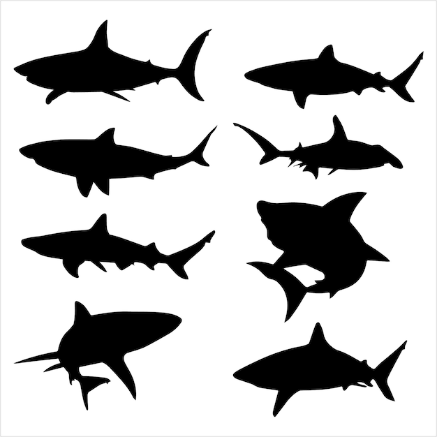 Vecteur silhouette de requin, un ensemble de silhouettes de requins