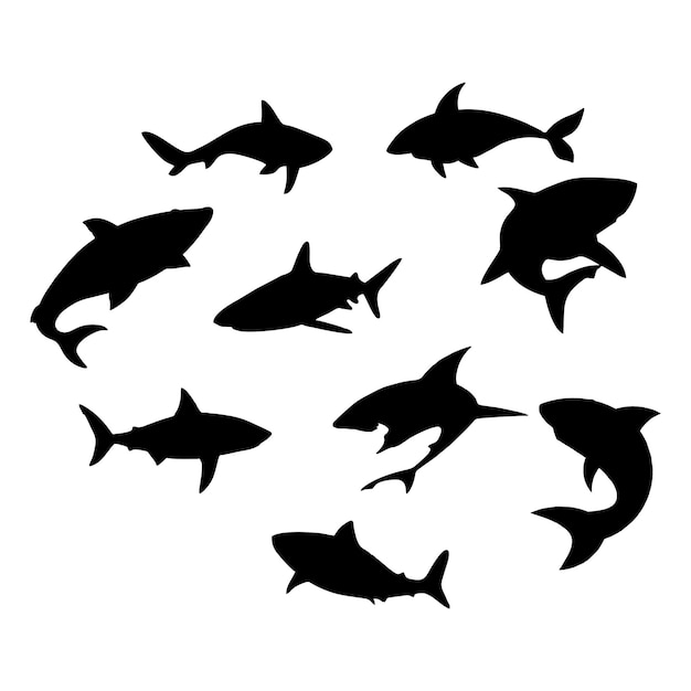 La silhouette d'un requin noir qui nage