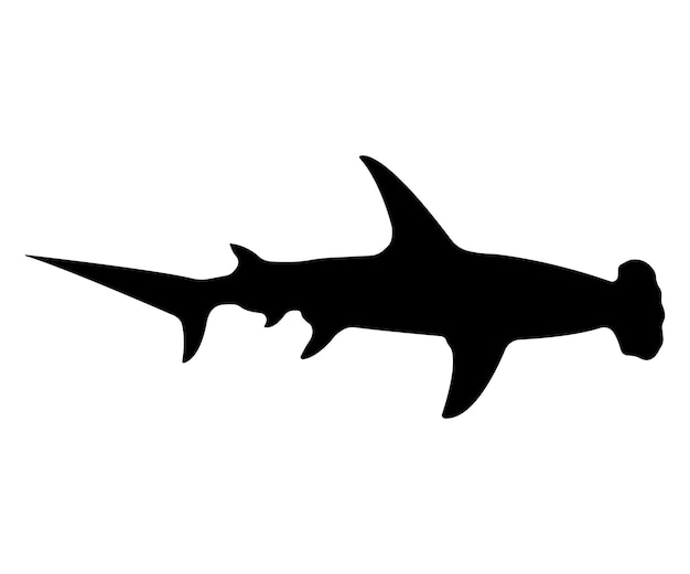 Vecteur silhouette de requin plat vecteur marteau isolé sur fond blanc