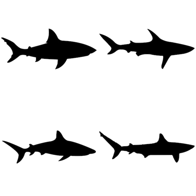 Silhouette De Requin